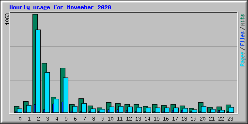 Hourly usage for November 2020