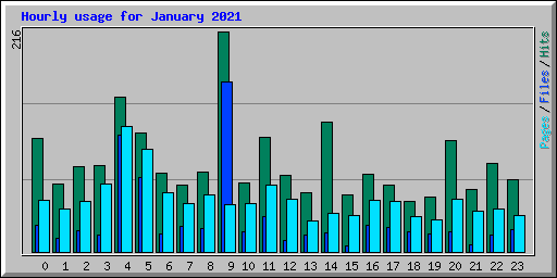 Hourly usage for January 2021