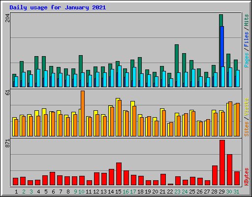 Daily usage for January 2021