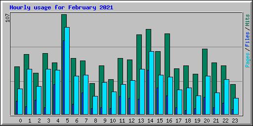 Hourly usage for February 2021